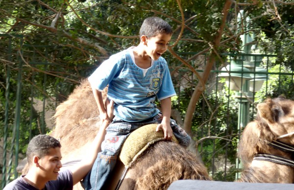 camelback riding